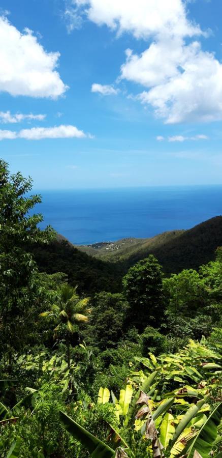 Côté Caraïbes Bouillante Exterior foto
